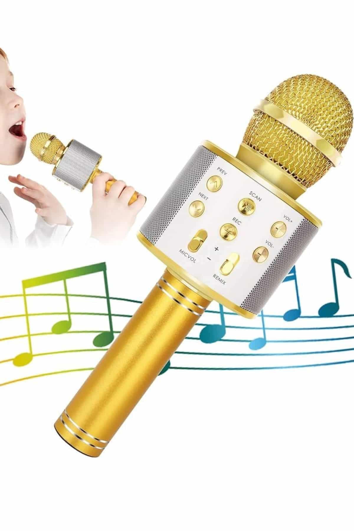 Karaoke Mikrofon Dahili Hoparlörlü Sd-usb-aux Girişli Bluetooth Hoparlör 5