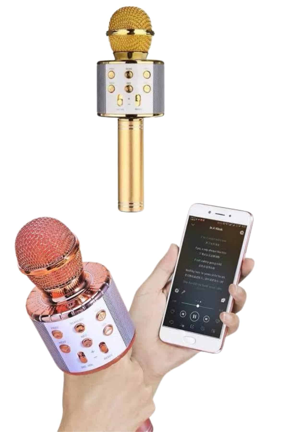 Bluetooth Hoparlör USB AUX SD Kart Kaoroke Mikrofon Uzun Pil Ömrü 4