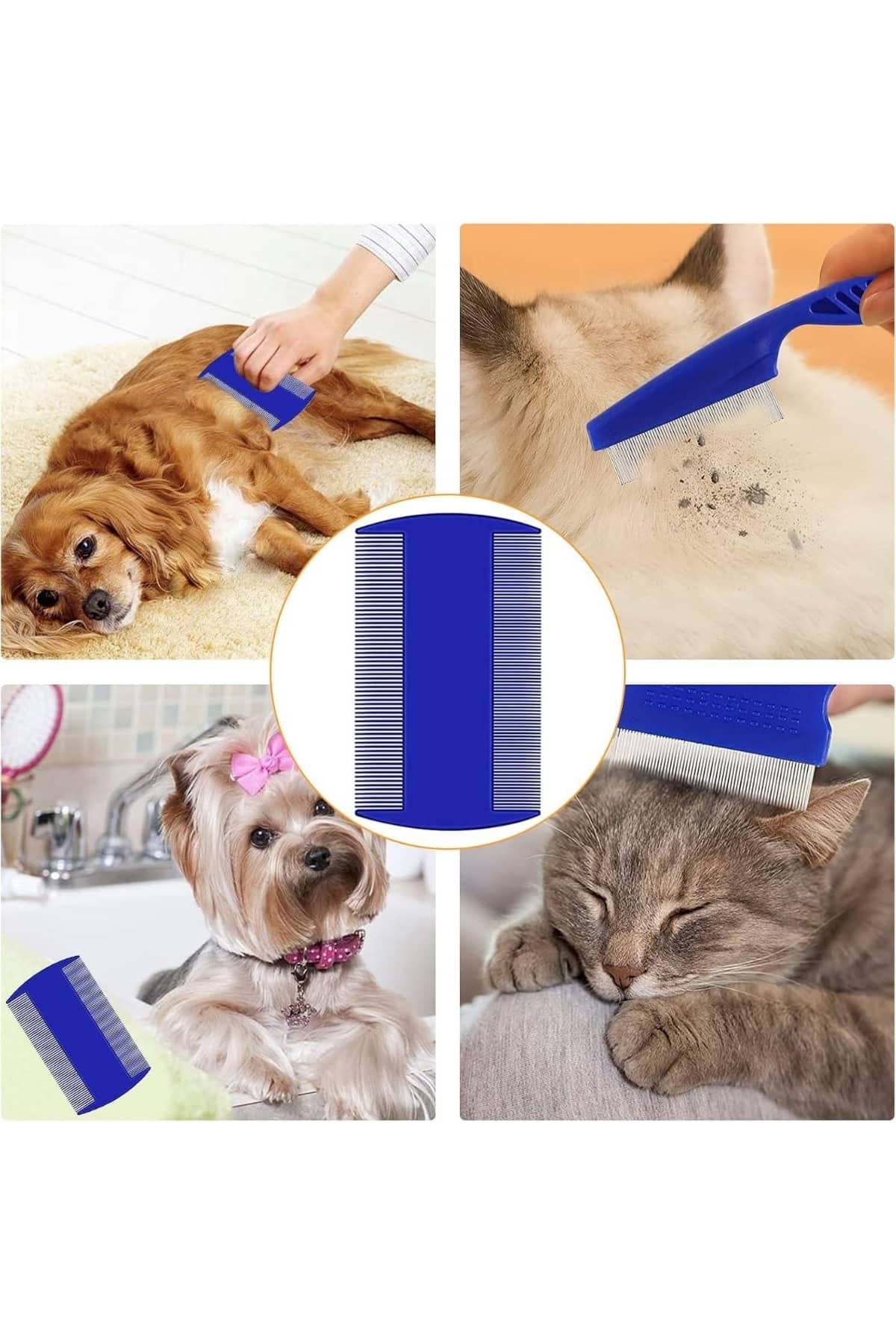 Evcil Hayvan Tarak Seti 4'lü Bit Tarağı Ked Köpek Tüyüne Uygun 6