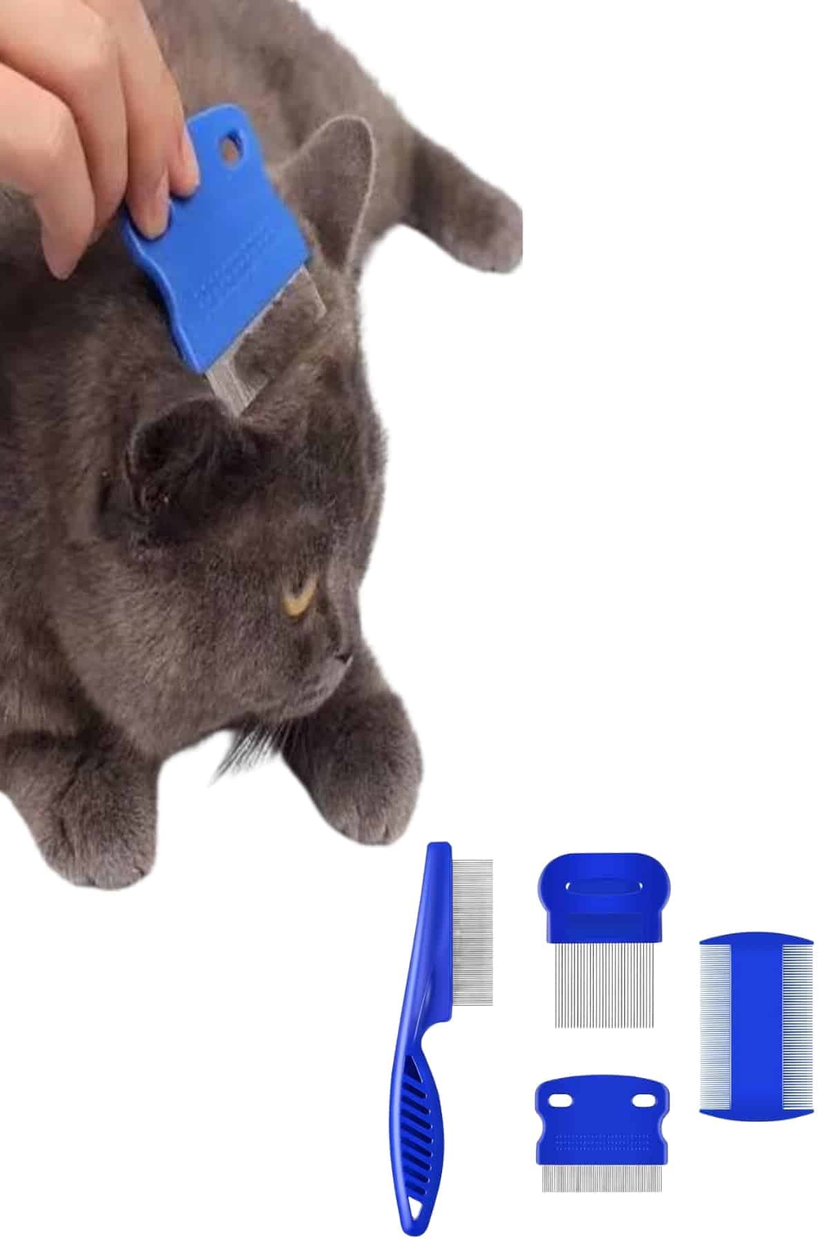 4'lü Bit Pire Tarağı Set Kedi Köpek Evcil Hayvan Tüy Toplayıcı Mavi 6