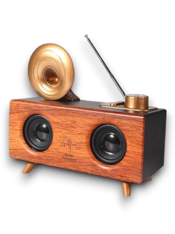 B6 SPEAKER HOPARLÖR 6