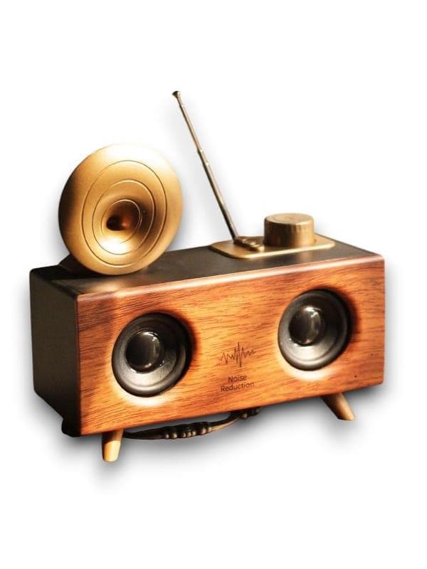 B6 SPEAKER HOPARLÖR 3