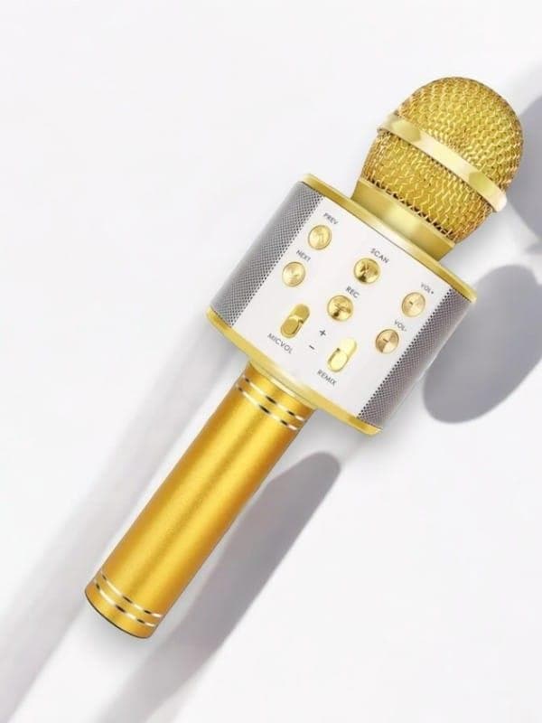 KAREOKE  MIKROFON 5