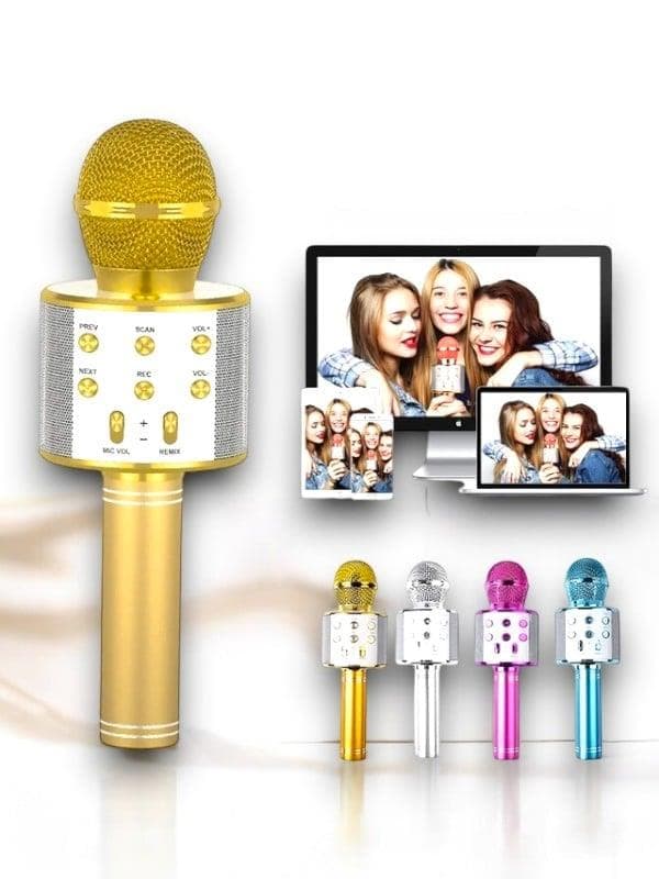 KAREOKE  MIKROFON 4