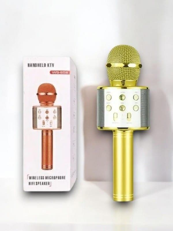 KAREOKE  MIKROFON 3