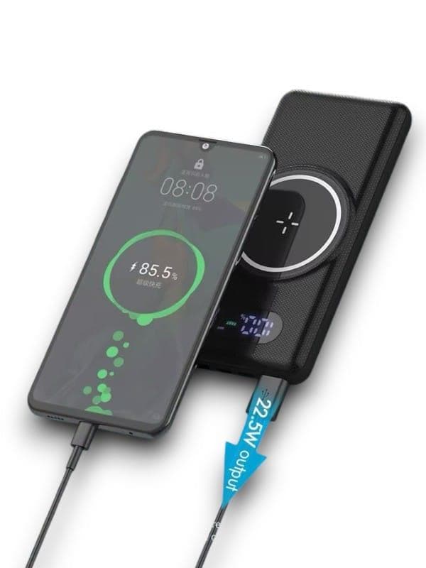 PW10 POWERBANK TEMASSIZ 5