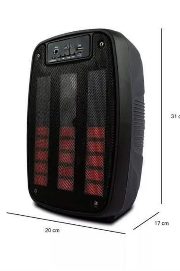 Taşınabilir 6.5 inç LED Bluetooth Kareoke Hoparlör RGB Işıklı Radyolu 6