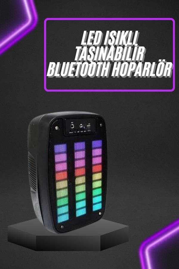 Taşınabilir 6.5 inç LED Bluetooth Kareoke Hoparlör RGB Işıklı Radyolu 3