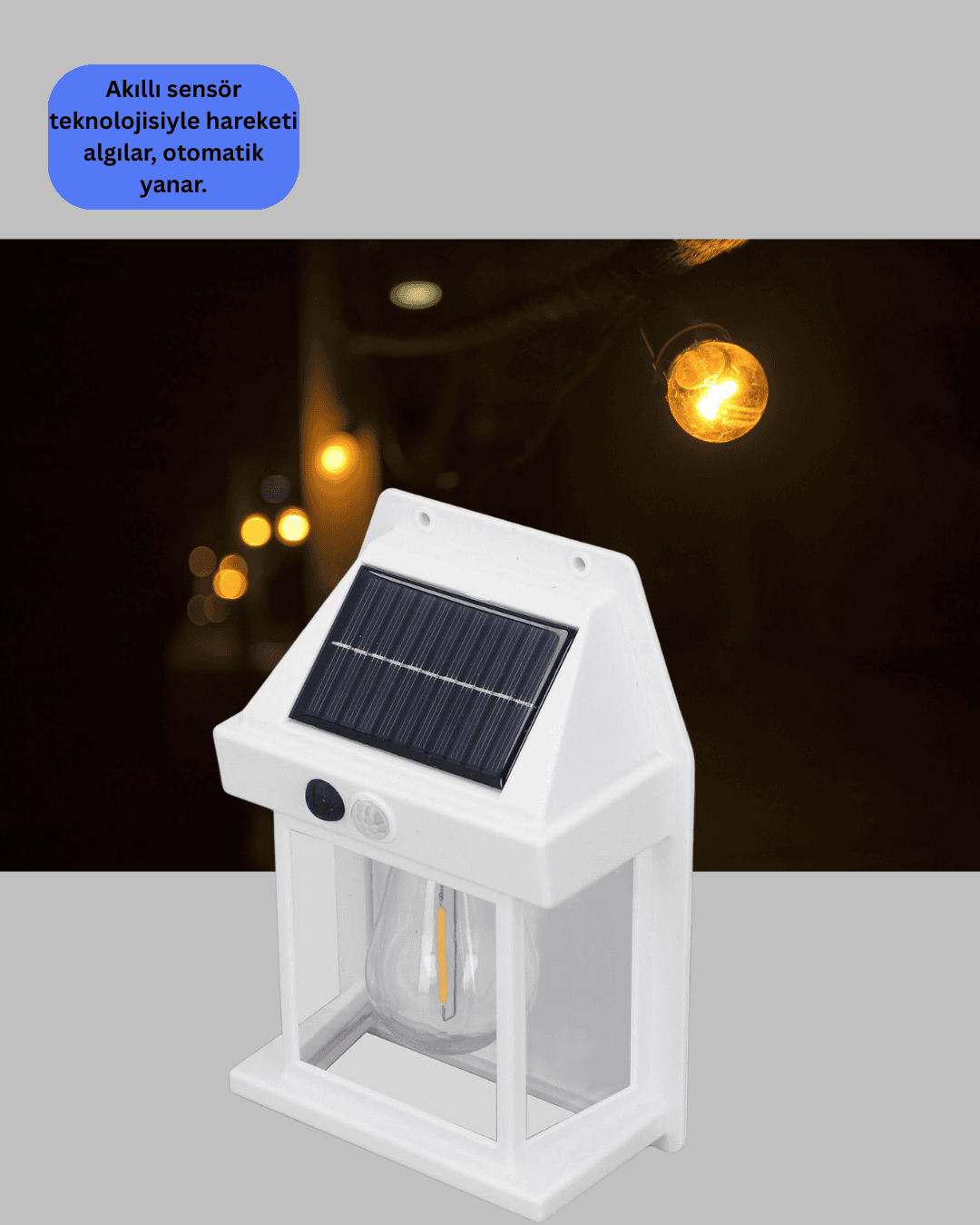 Güneş Enerjili Duvar Lambası BK888 4