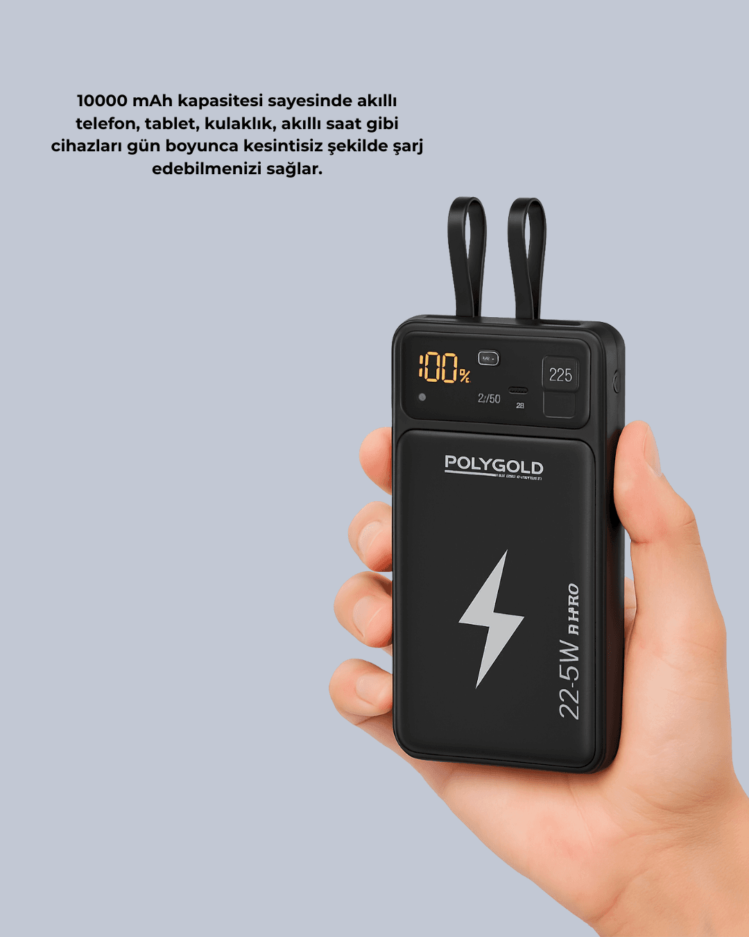 Powerbank Dahili Ekranlı 10000 mAh Çift Kablolu 3