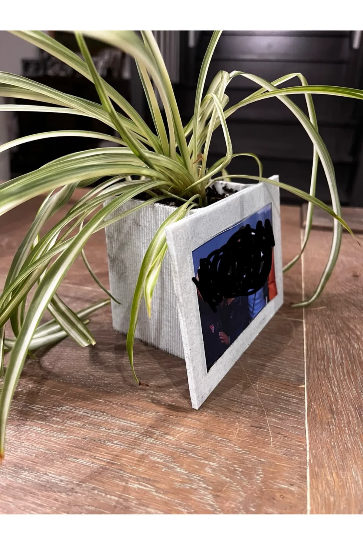 Premium Ahşap Fotoğraf Çerçeveli Saksı - 2'si 1 Arada Dekoratif Bitki Standı Ev Ofis