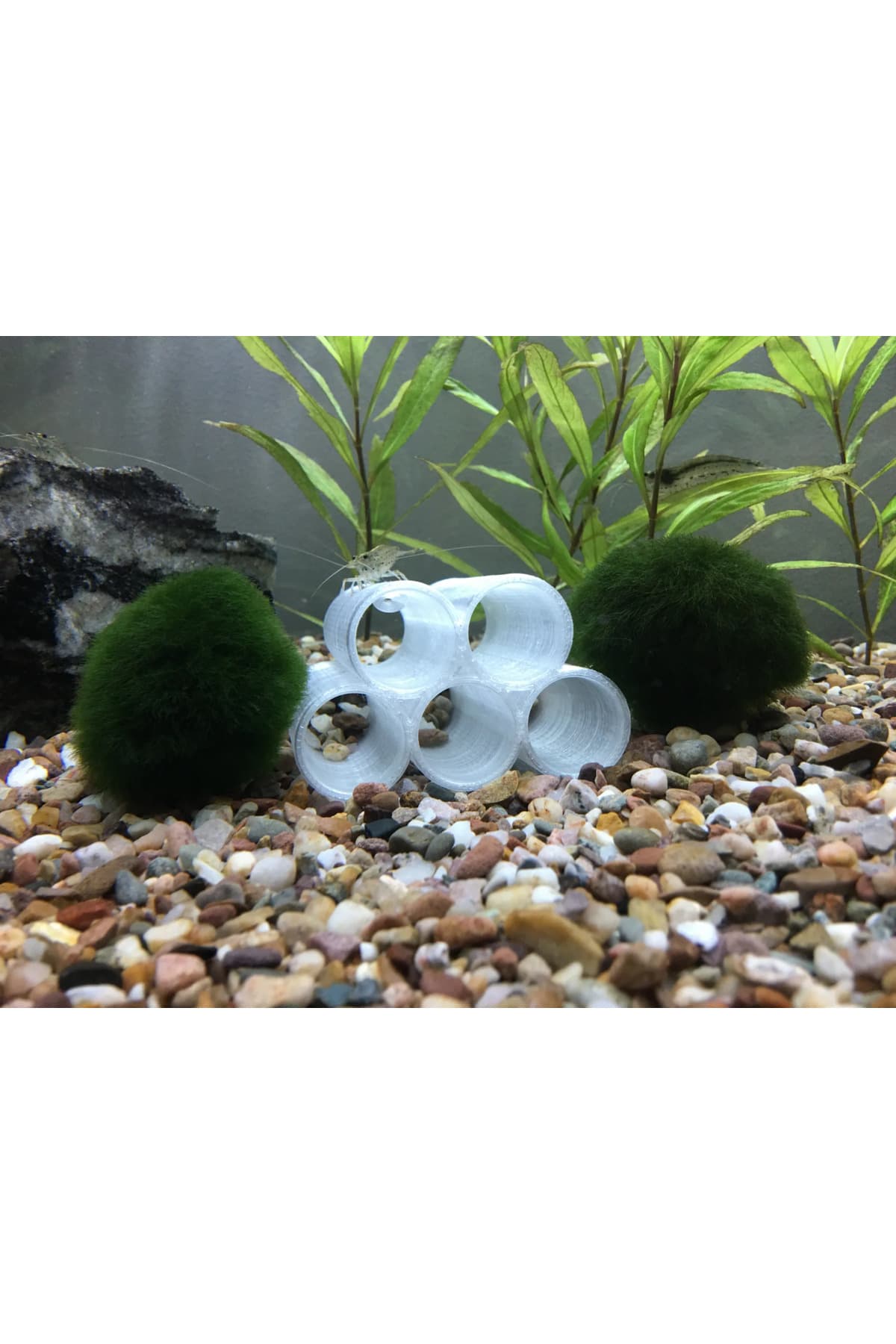 Akvaryum Karides Tüpleri - Saklanma Alanı