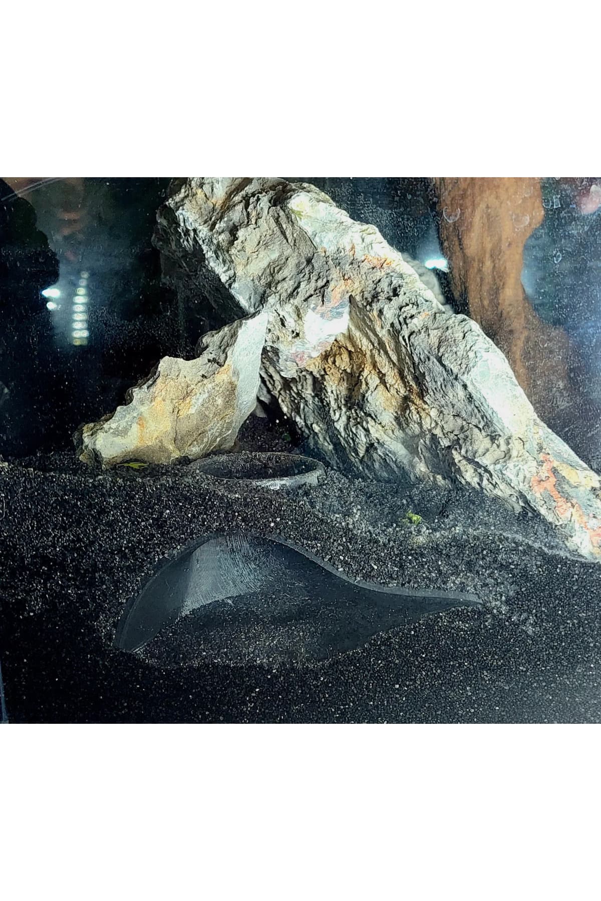 Akvaryum Saklanma Alanı Dış Görünümlü